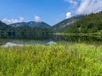 27 NSG Weitsee - Reit im Winkl